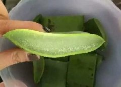 奶蘆薈汁